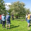 Spring foraging course in a field